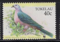 [Worldwide Nature Protection - Pacific Imperial Pigeon, тып HD]