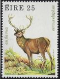 [Game Animals, ประเภท GV]