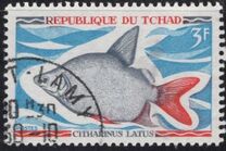 [Fish, tegund HP]