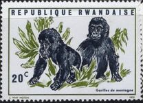 [Local Fauna - Mountain Gorilla, 類型 IT]