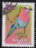 [Fauna and Flora - Birds, Вид ATB]