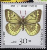 [Youth Hostel - Butterflies, Tip AWJ]