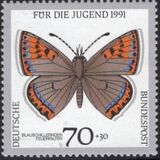 [Youth Hostel - Butterflies, Tip AWM]