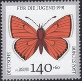 [Youth Hostel - Butterflies, Tip AWQ]