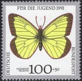 [Youth Hostel - Butterflies, Tip AWP]