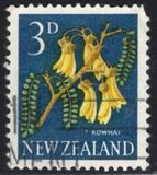 [Local Motifs - Flowers, type GV]