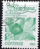 [Flowers, type BGR]