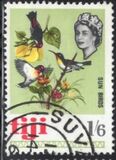[Local Motives and Queen Elizabeth II, type DW]