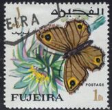 [Butterflies, тып FC]