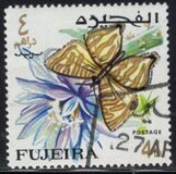 [Butterflies, тып FF]