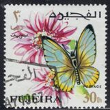 [Butterflies, тып FK]