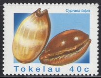 [Sea Shells, type IE]