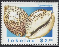 [Sea Shells, type IH]