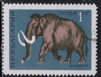 [Prehistoric Animals, Typ BTI]
