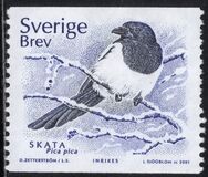 [Birds, type BMC]