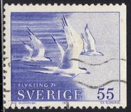 [Birds - Refugee Relief, type KU3]