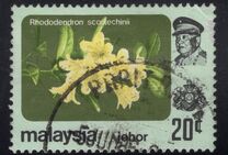 [Flowers - Not Watermarked, type BG2]