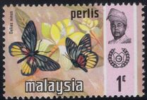 [Butterflies, වර්ගය BE]
