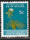 [Definitive Issue, típus ID]