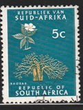 [Definitive Issue, típus ID]