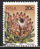 [Flora - Protea Plants, type PR1]