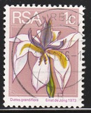 [Flora and Fauna, type NG]