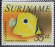 [Fish, Tipo AGT]