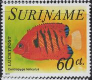 [Fish, Tipo AGU]