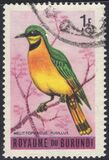 [Birds, type CX]