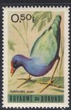 [Birds, type CW]
