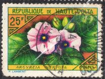 [Flowers, type BJ]