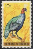 [Birds, Tipi DA1]