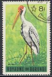 [Birds, Tipi CZ1]