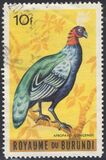 [Birds, Tipi DA1]