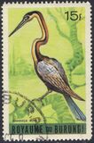 [Birds, Tipi DB1]