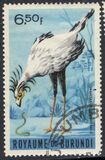 [Birds, Tipi CY1]