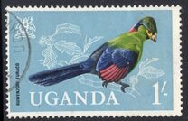 [Birds, tyyppi AG]