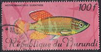 [Fish, タイプ JE]