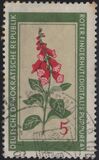 [Medicinal Plants, tip OK]