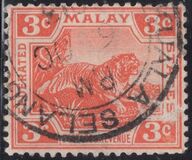 [Tiger - New Colors, type C28]