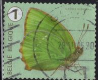 [Butterflies, Tipi XLD]