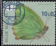 [Butterflies, Tipi XLD]