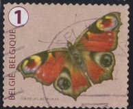 [Butterflies, Tipi XLE]