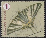 [Butterflies, Tipi XLK]