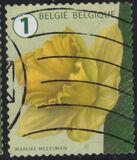 [Definitives - Flowers, type XSN6]
