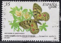 [Rare Species, տեսակ EFY]