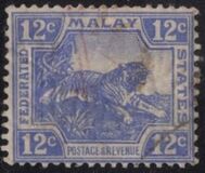 [Tiger - Different Watermark, тип C55]