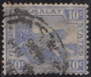 [Tiger - New Colors, type C38]