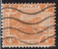 [Tiger - New Colors, type C36]