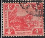 [Tiger - New Colors, type C36]